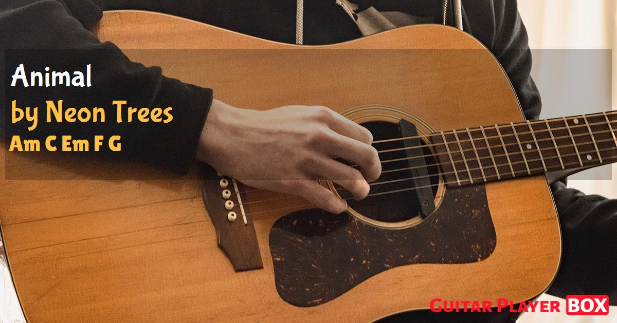 Animal. Neon Trees. Chords. GuitarPlayerBox